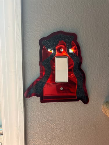 Customer photo review of Bow Light Switch Cover