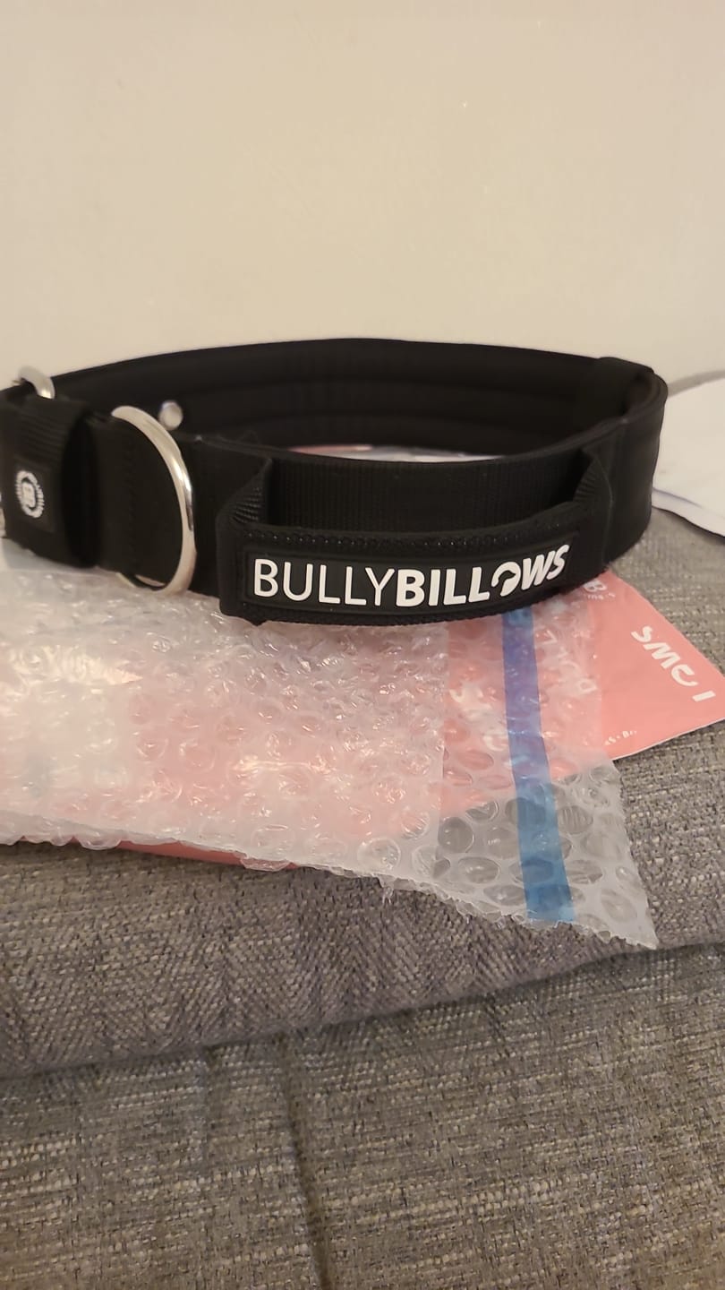 Customer photo review of 5cm Pin Buckle Collar | With Handle - Black