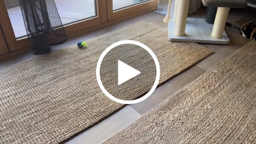 Tina I. review of SPEEDY TAIL 2.0 image 1 out of 1