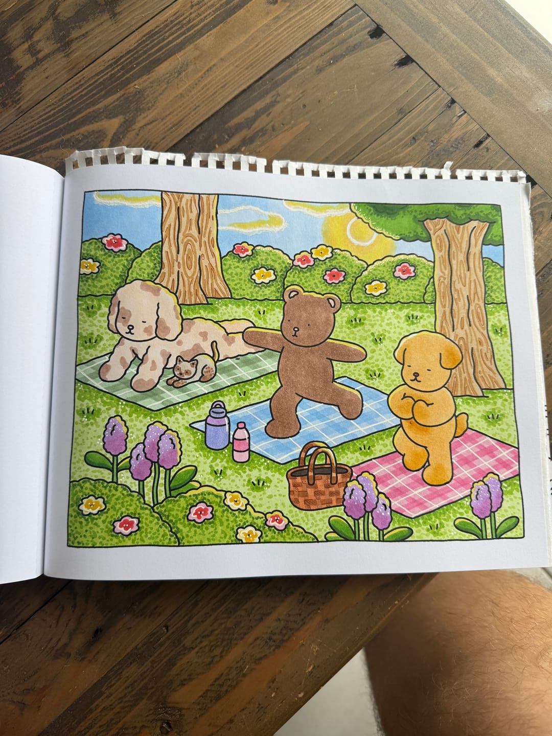 Customer photo review of Ohuhu Oahu 48 Pastel Colors Dual Tips Alcohol Art Markers, Fine & Chisel