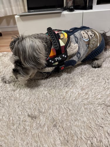 Customer photo review of 【プレミアム版】FunFunPet 高機能ハーネス （お名前タグ作成サービス付き）