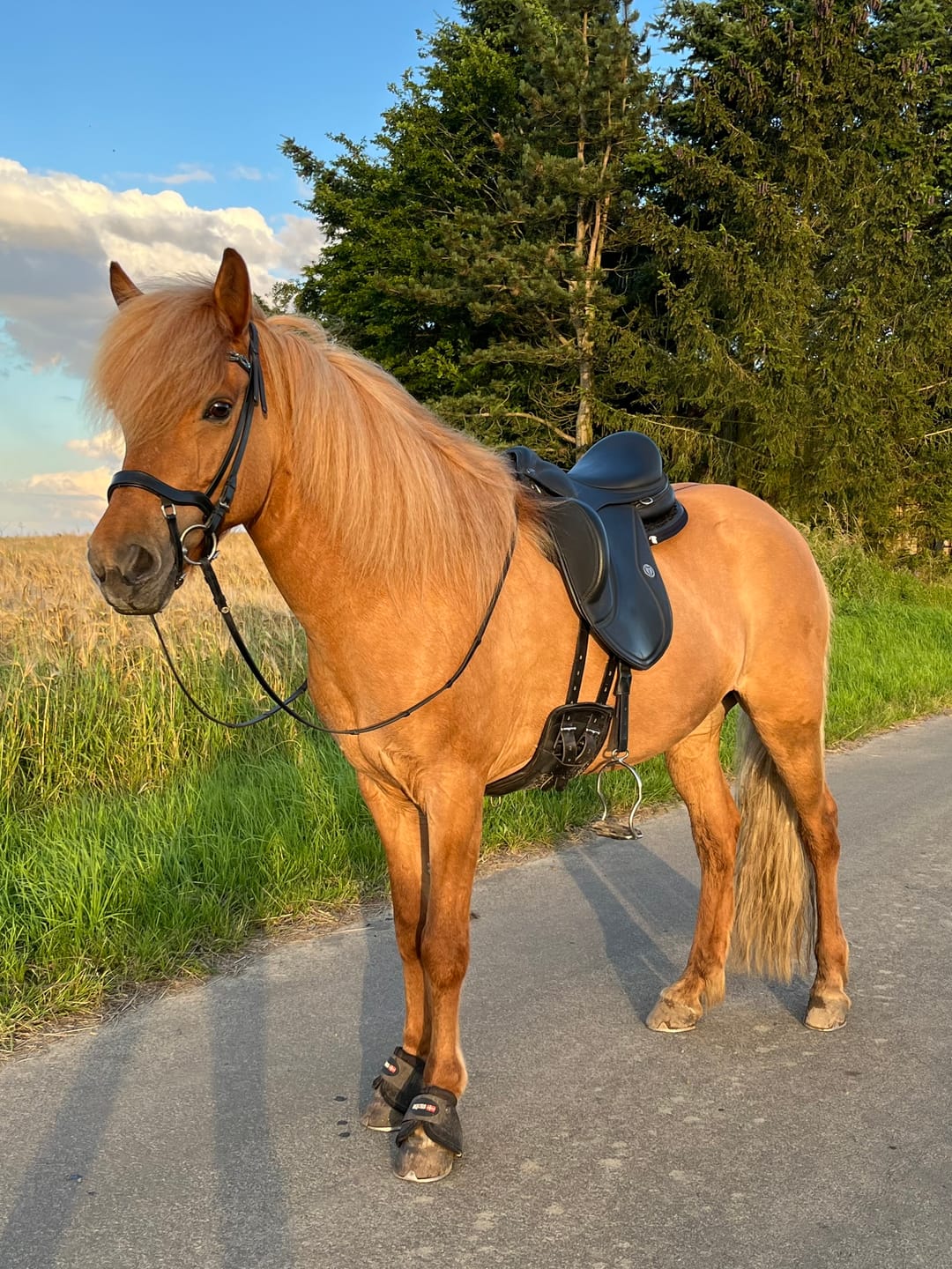 Customer photo review of Kristallkraft Mental Balance