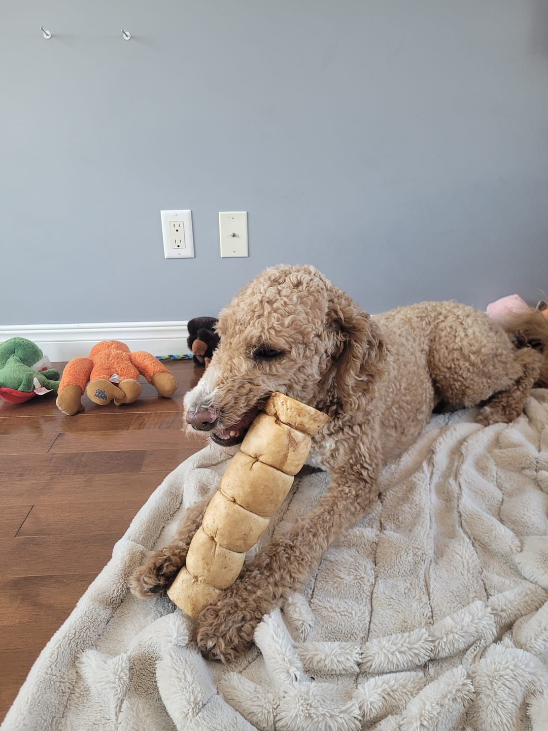 Customer photo review of 10-12 Inch Peanut Butter Cheek Roll
