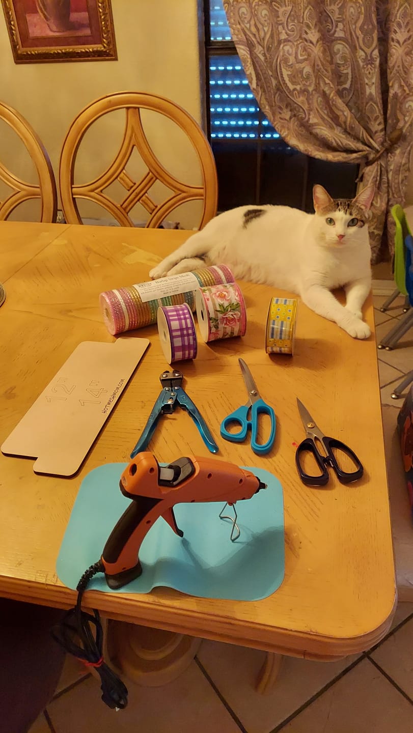 Customer photo review of 9.5"L Ribbon Scissor Turquoise MT107230