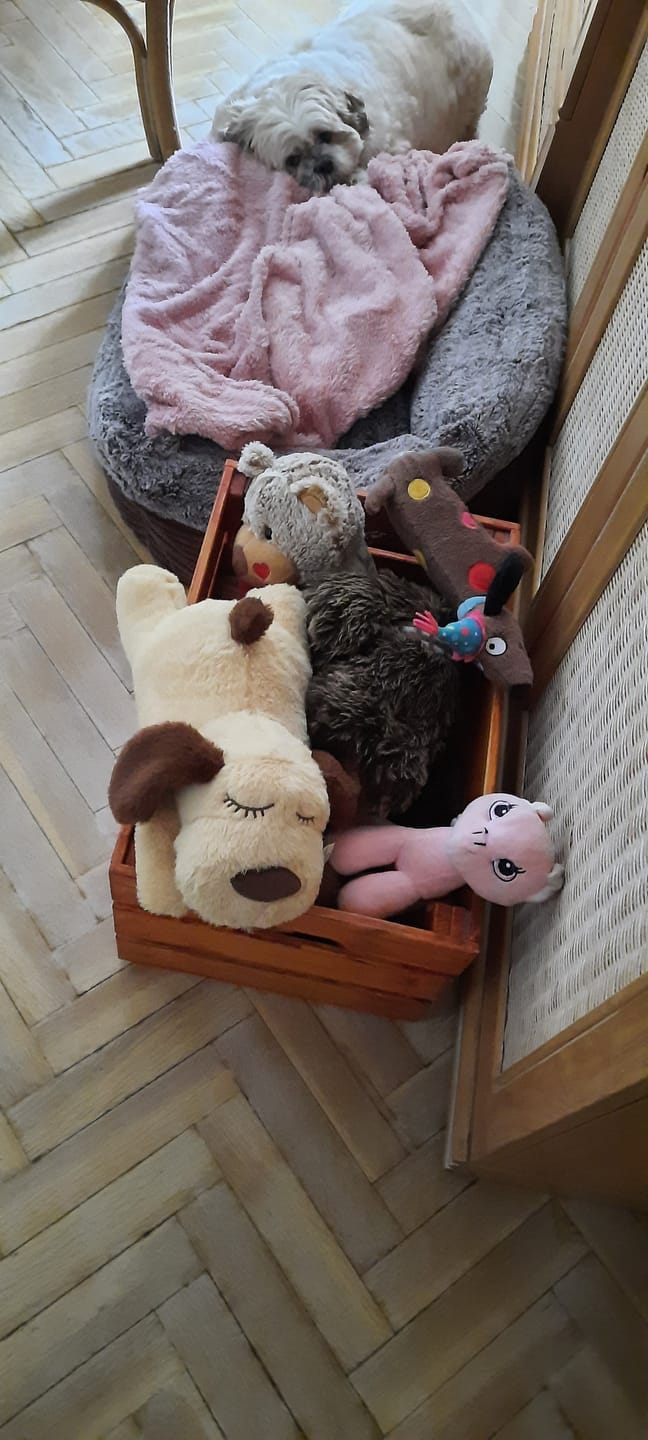 Customer photo review of Peluche Antiestrés para Mascotas
