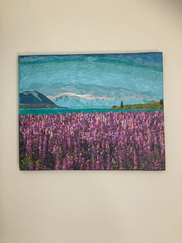 Customer photo review of Tekapo Lupins