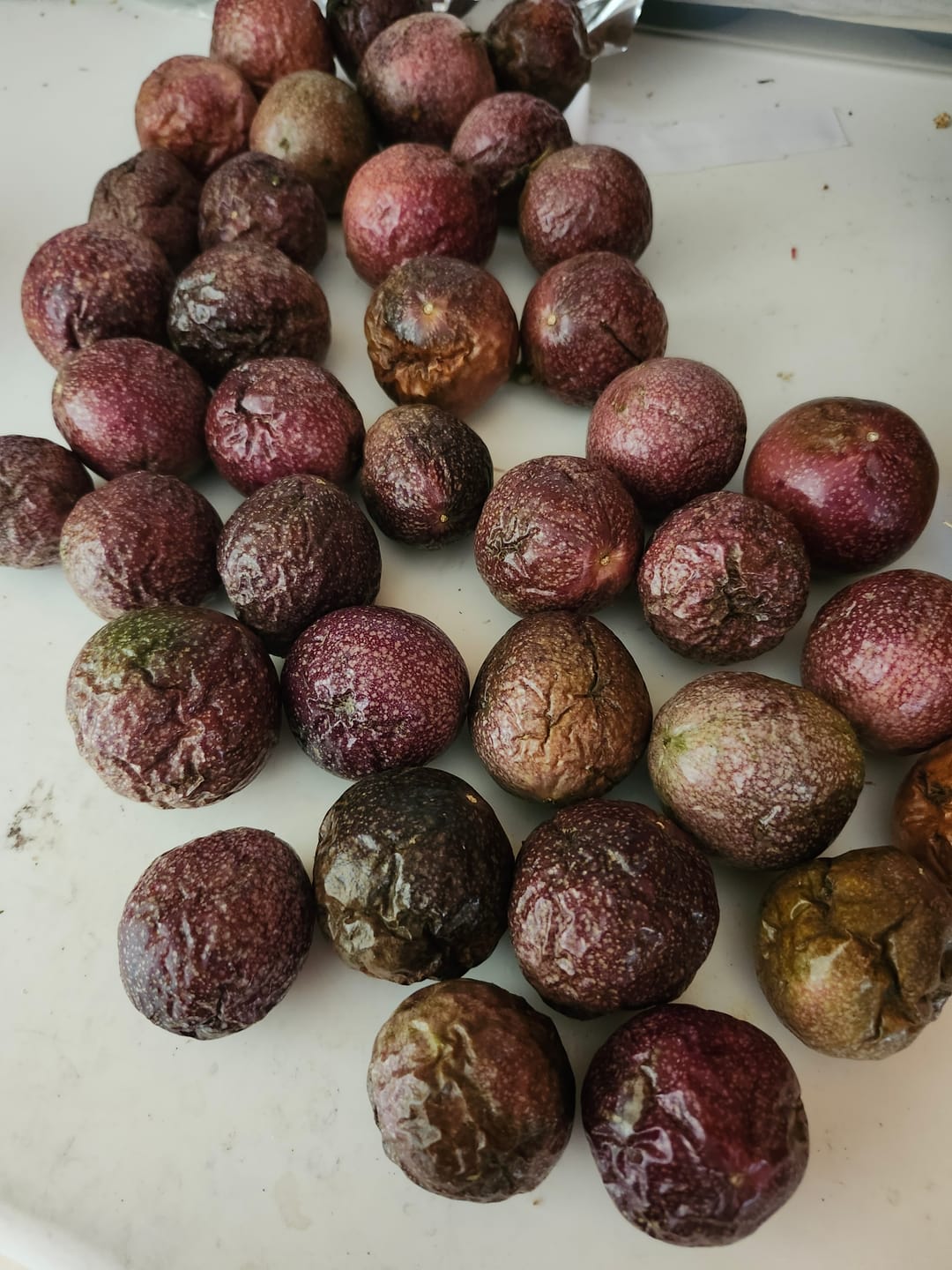 Customer photo review of Purple/Pink Passionfruit (Lilikoi)