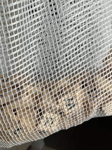 Customer photo review of 3-Way Ultimate Force Bag (Two Sizes) by Conan Liu & Royce Luo