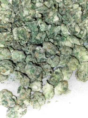 Customer photo review of Girl Scout Cookies Smalls