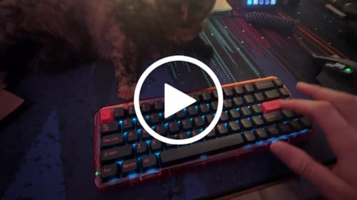 Customer video review of Mojo68 - Pigeon