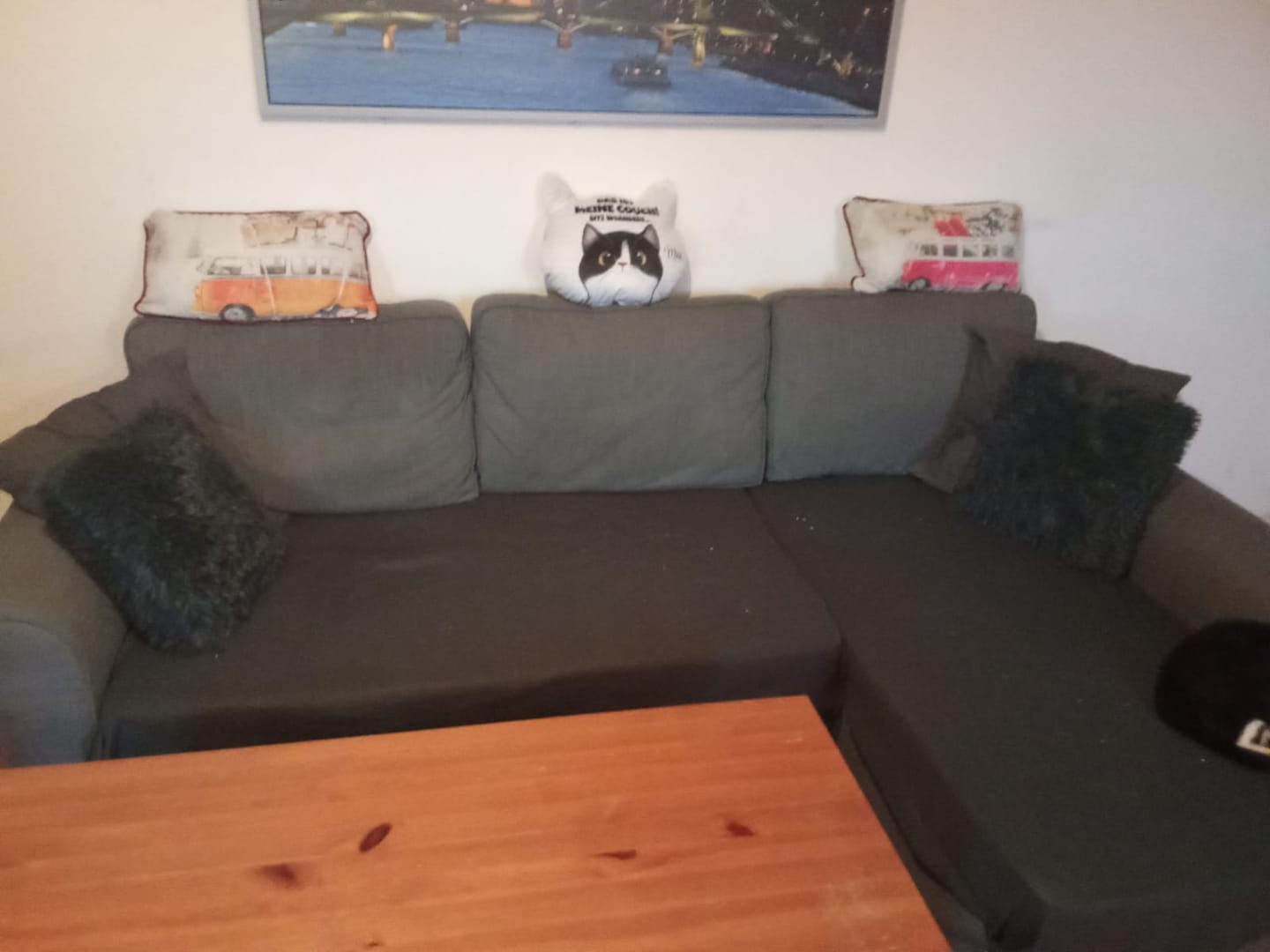 Customer photo review of Unsere Couch - Individuelles Formkissen