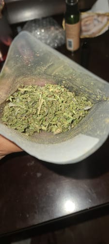 Customer photo review of Acapulco Gold
