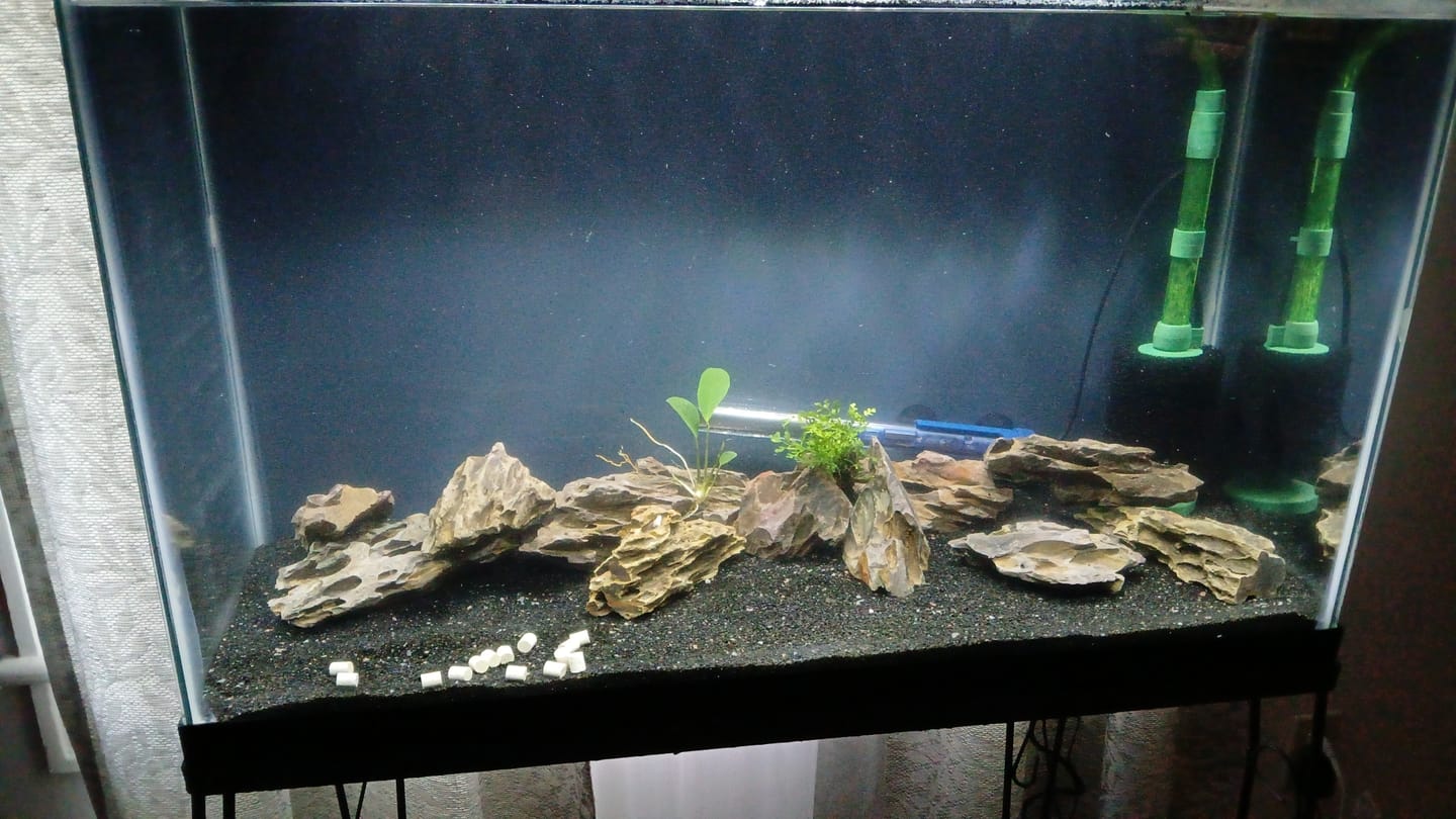 Customer photo review of Scuba Contactless Heaters