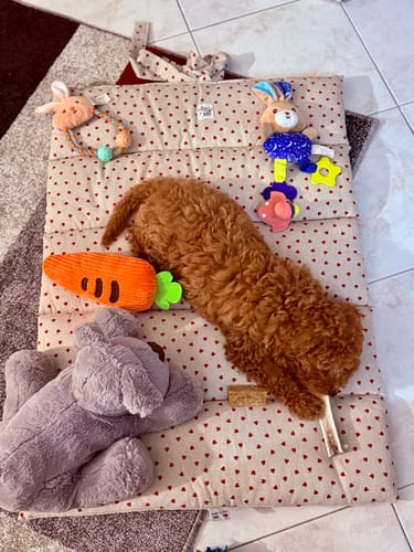 Customer photo review of Trapuntina Arrotolabile Cotone Panama Little Love Heart Red