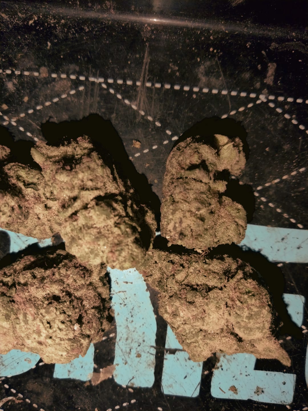 Customer photo review of Mochi - THCa Flower