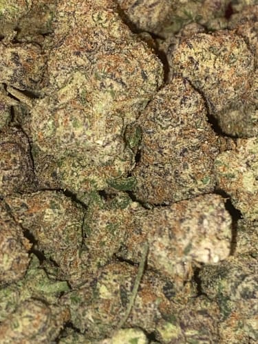 Customer photo review of Pink Certz Exotic Indoor THCA Flower Medium Buds