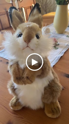 Customer video review of Hansa Creation Pomeranian 23cm
