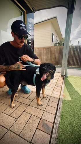 undefined review of Signature Kit image 1 out of 1