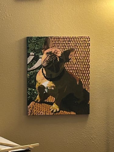 Customer photo review of Custom Paint By Numbers Kit