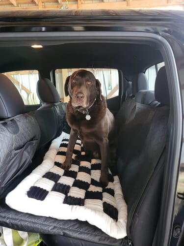 Customer photo review of NEW Waterproof Hard Bottom Car & Truck Seat Foldable Hammock Cover With Storage Pockets, Side Flaps, Headrest Straps, Seat Anchors, & Mesh Window (+FREE SAFETY BELT!)