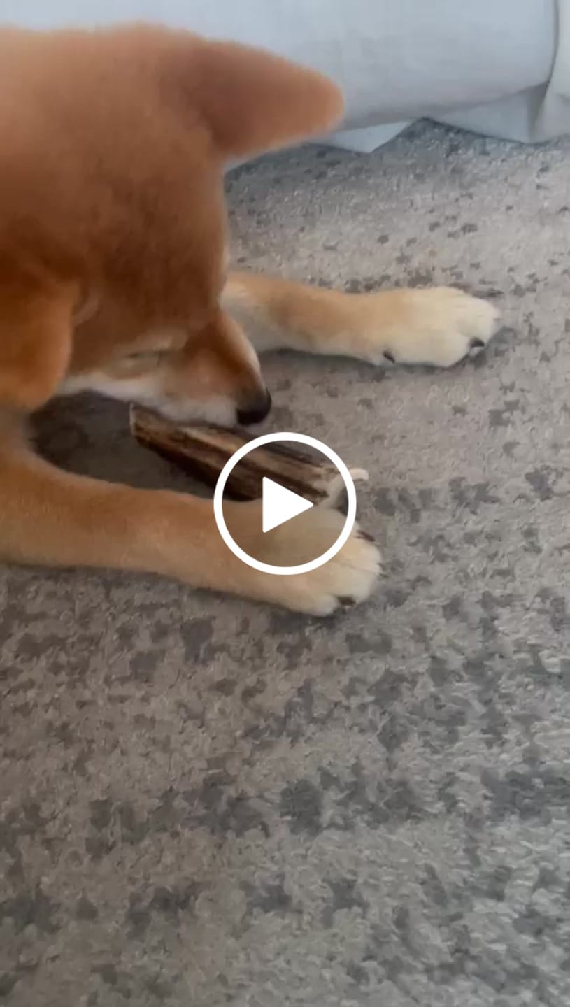 Customer video review of Patas de pollo