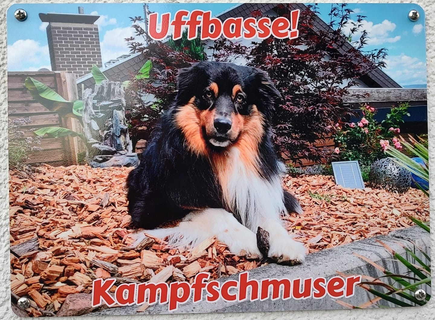 Customer photo review of Hunde-Türschild personalisiert mit Foto & Text (UV- und wetterfest)