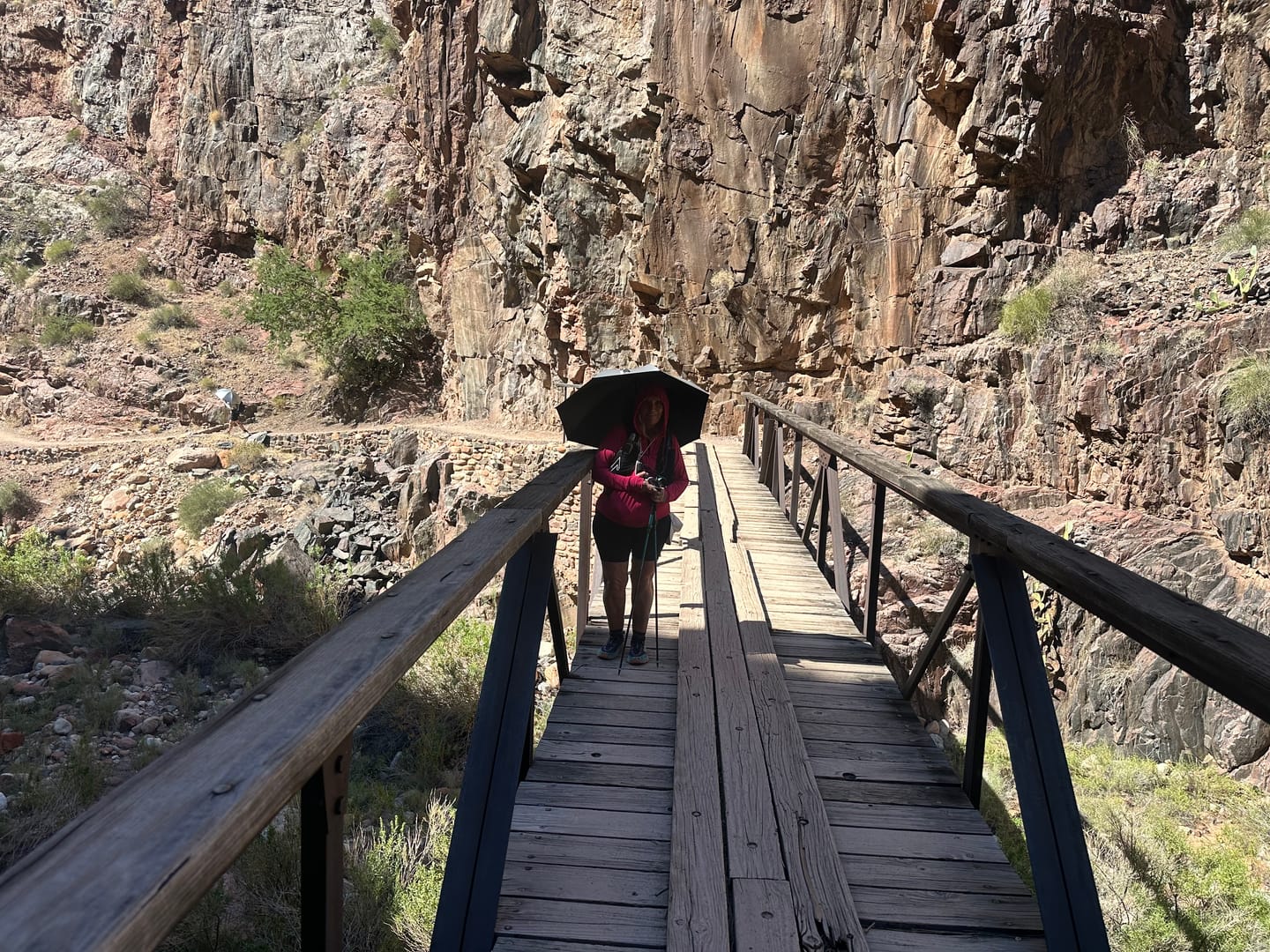Customer photo review of Lightrek Hiking Umbrella