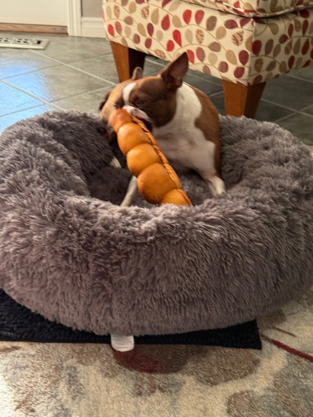 Customer photo review of 10-12 Inch Peanut Butter Cheek Roll