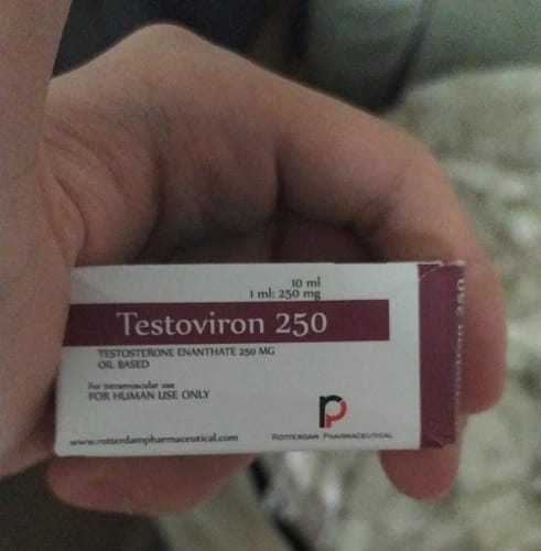 Customer photo review of Testosterona Enantato Rotterdam Pharmaceutical