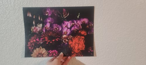 Customer photo review of "Black Dahlia"  Oversized Wall Mural