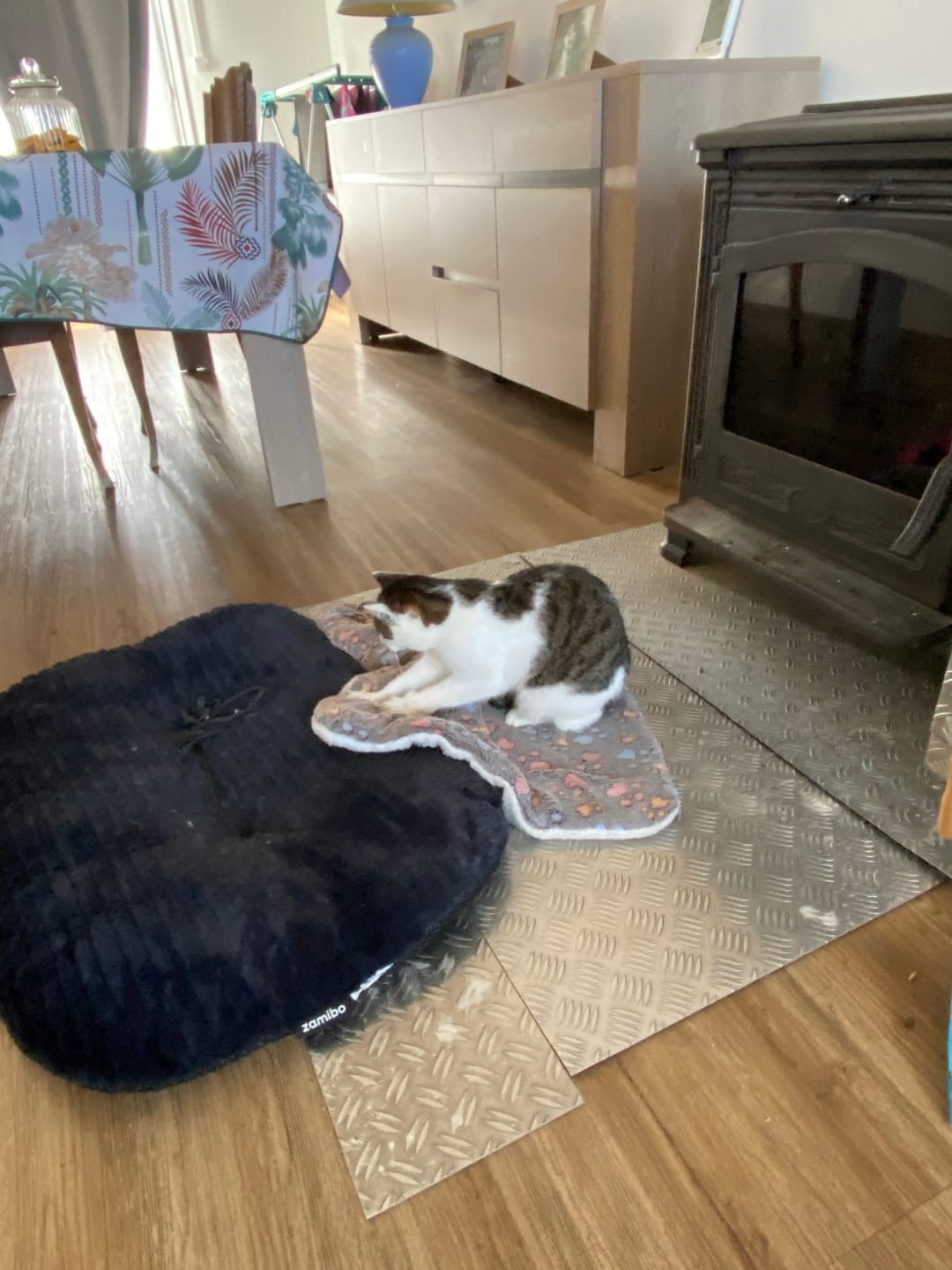 Customer photo review of Couverture Apaisante Pour Chat