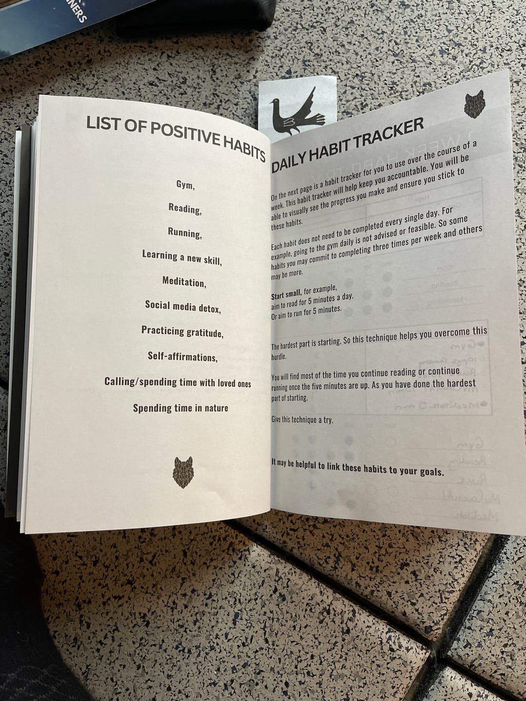 Customer photo review of The Successful Man Journal + Free Gifts