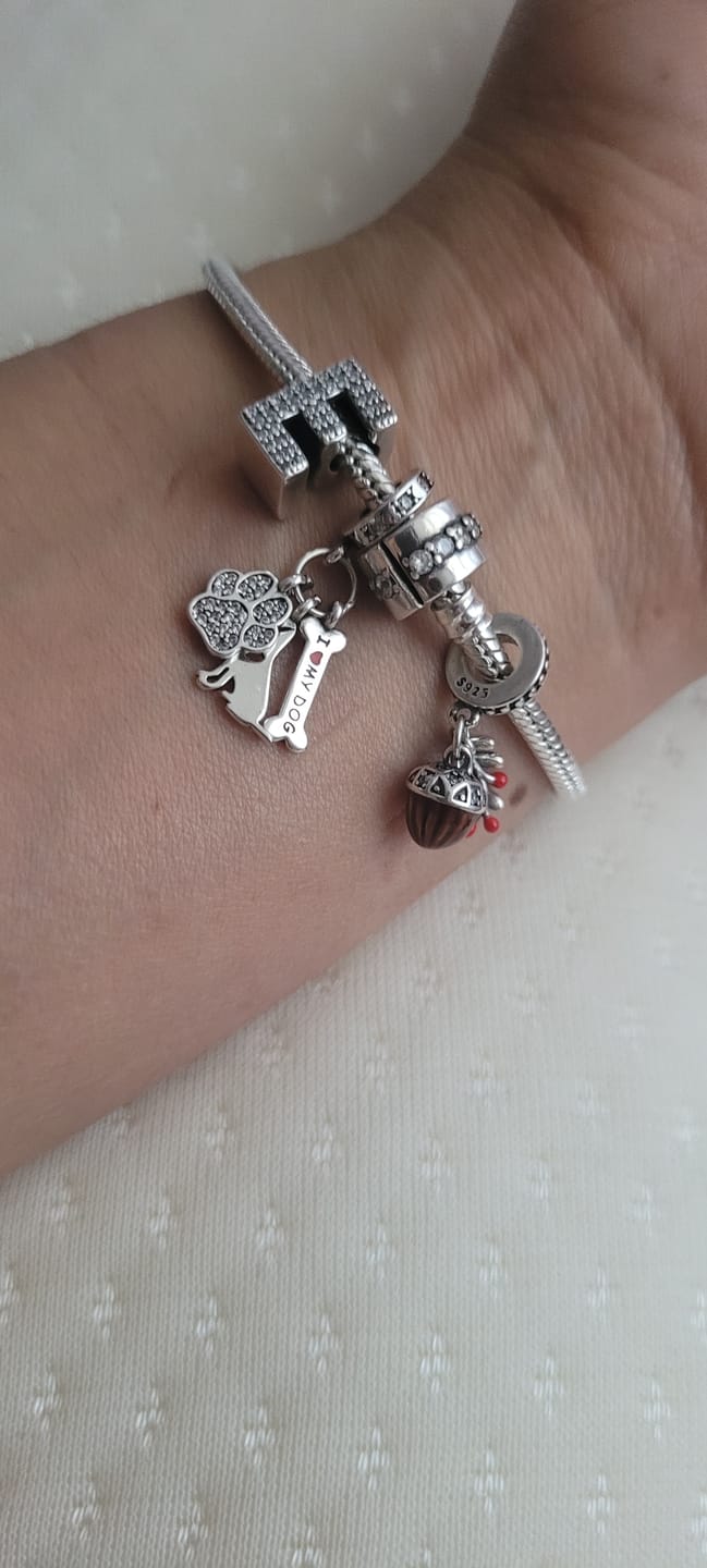 Customer photo review of Charm Letras del Alfabeto