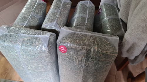 Customer photo review of Timothy Hay Box 'Blend'