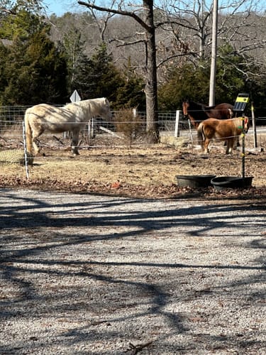 Customer photo review of Hay Chix® 2-Strand Bale Net (Small Bale Net)