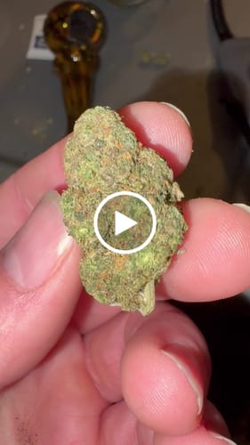 Customer video review of Spritzer