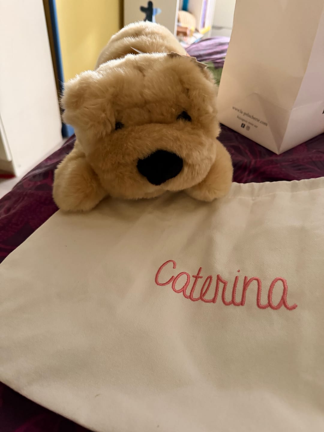 Customer photo review of Ma peluche Chien Hector