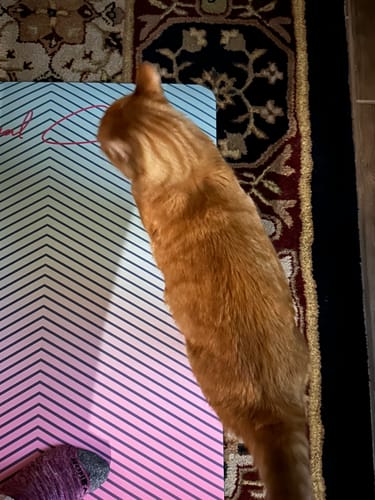 Customer photo review of LIMITED EDITION Royal Change Gradient Yoga Mat | 5MM