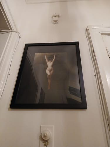 Customer photo review of The Bat Woman | Albert Joseph-Pénot | 1890