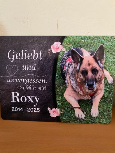 Customer photo review of Hunde Gedenktafel mit Foto & Spruch (UV- & Wetterfest)