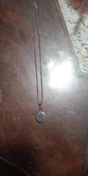 Customer photo review of H2O Just Add Water Mermaid Locket Necklace