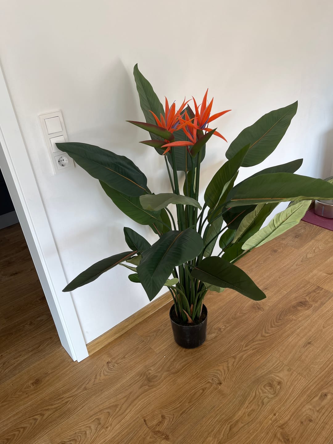 Customer photo review of Strelitzie Kunstpflanze mit Blume 120cm