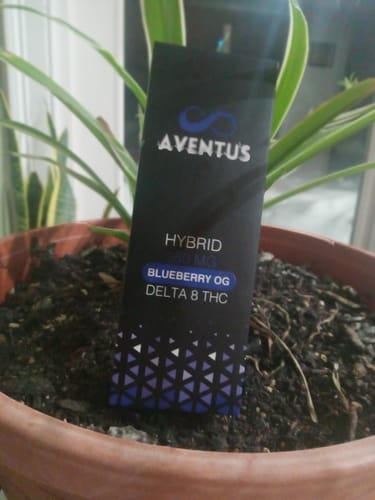 Customer photo review of DELTA 8 Blueberry OG DISPOSABLE VAPE