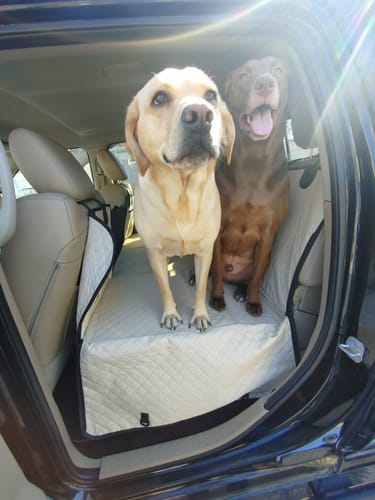 Customer photo review of NEW Waterproof Hard Bottom Car & Truck Seat Foldable Hammock Cover With Storage Pockets, Side Flaps, Headrest Straps, Seat Anchors, & Mesh Window (+FREE SAFETY BELT!)