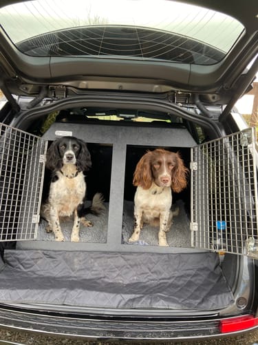 Customer photo review of Dog Travel Crate | The DT 13