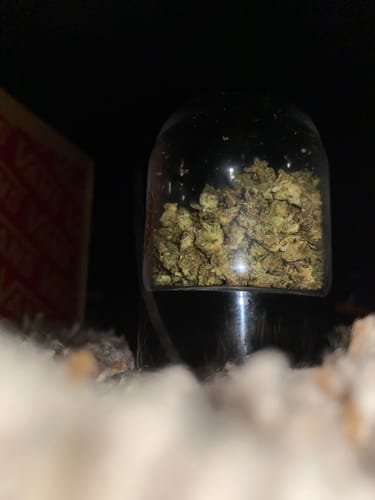 Customer photo review of Gold Spectrum THCA Flower - Exotic Quality Strain of the Month