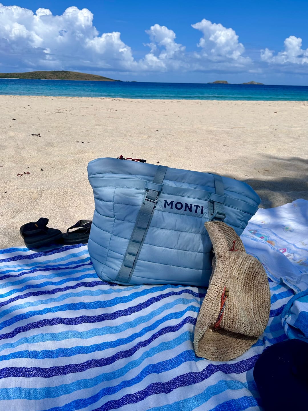 Customer photo review of The Kingfisher Cooler Tote