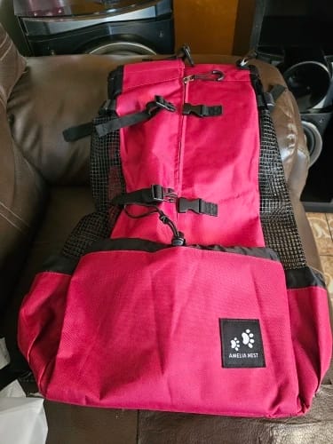 Customer photo review of Mochila para Transportar Cães