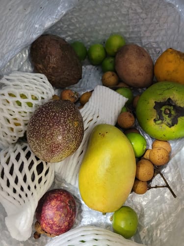 Customer photo review of Tropical Variety Box
