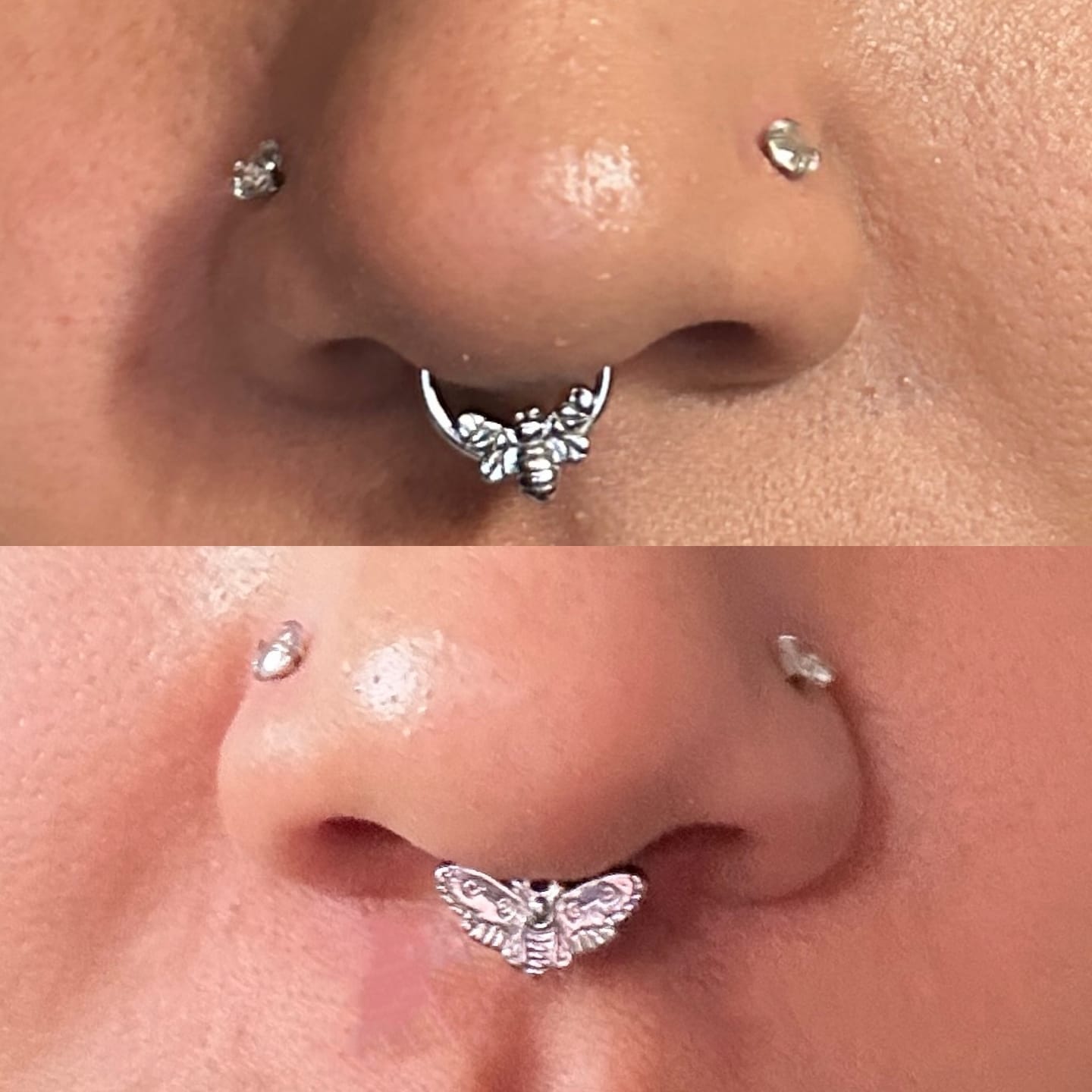 Customer photo review of Moth Septum